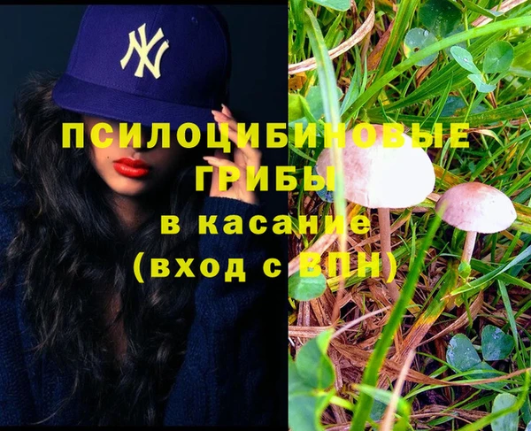 трава Верхнеуральск